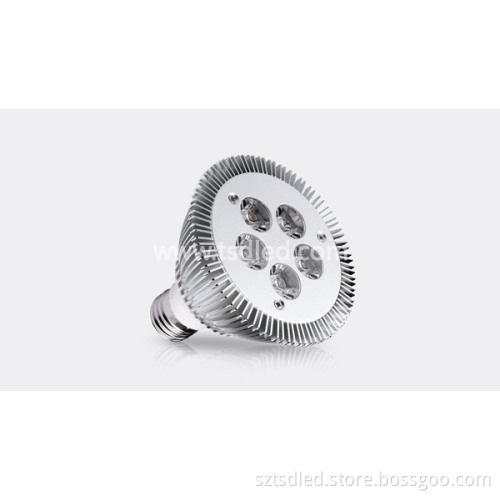 5W PAR30 LED Spotlight (TD-XP30W5)